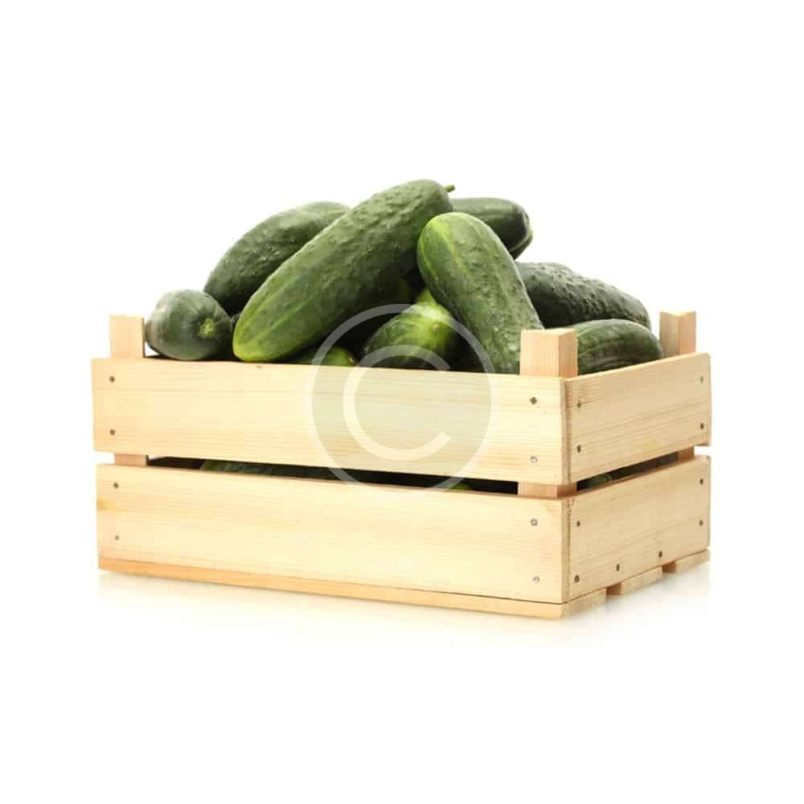 Box of Cucumbers